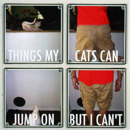 cat jumps printed