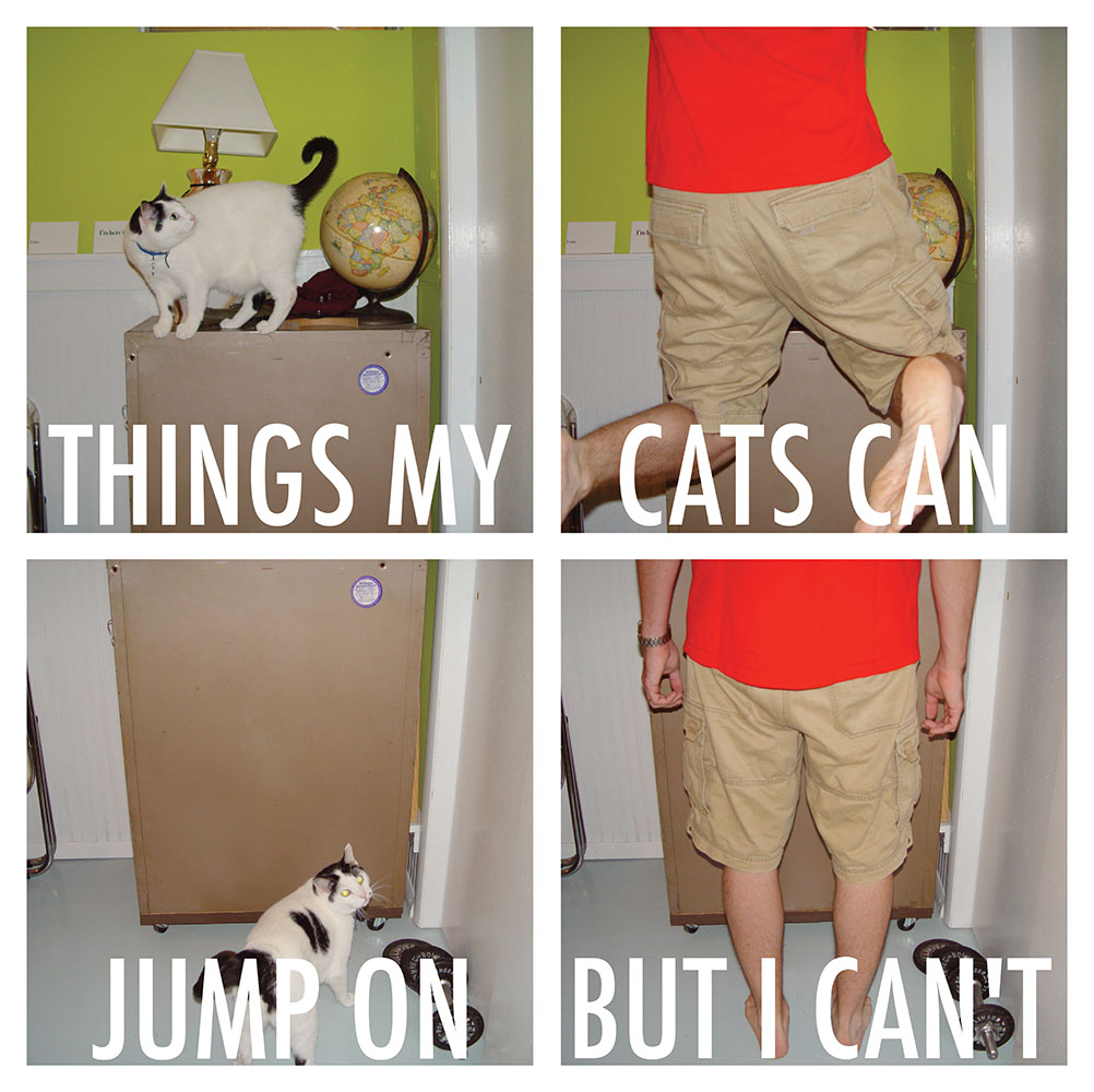 cat jumps 2