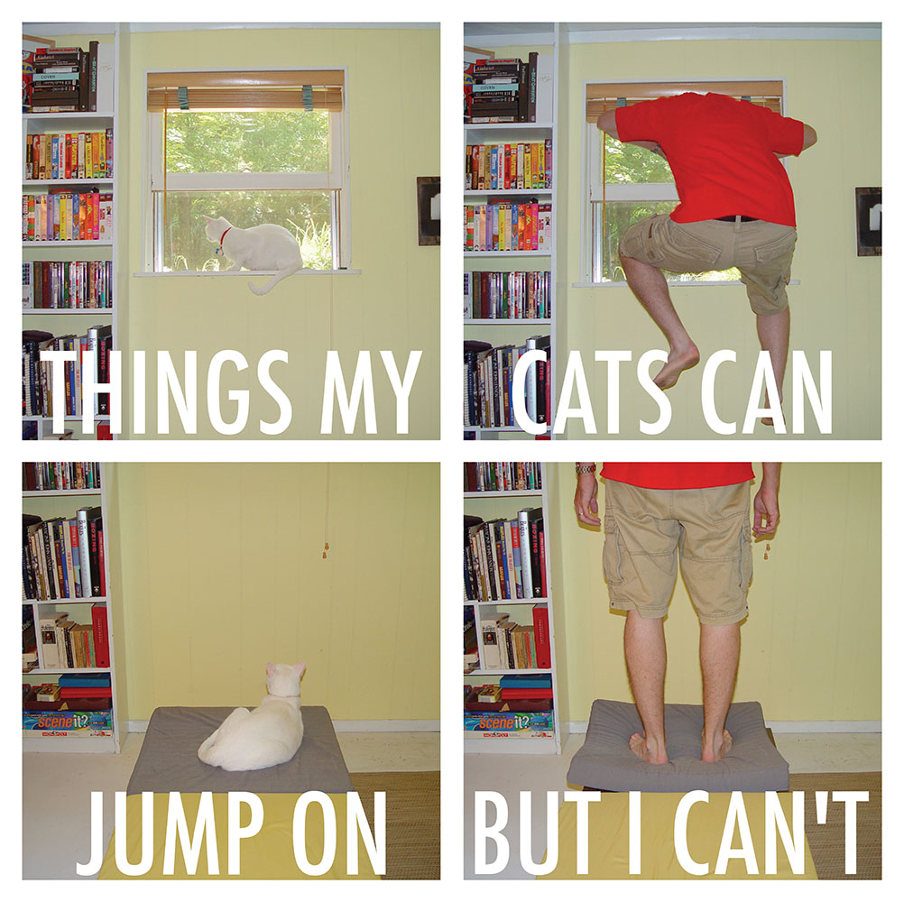 cat jumps 1